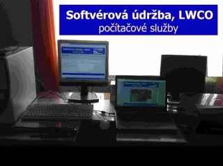 Softvérová údržba, LWCO - počítačové služby