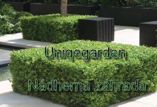 Uniqegarden - Nádherná záhrada
