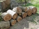 Orechové drevo - guľatina