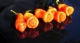 Chilli Papriky -77 druhů            semena -neoseeds