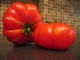 Rajčata - semena neoseeds