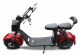E scooter, electric scooter, removable battery, 2000W, front/rear suspension