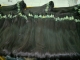 Fashion Hair