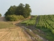 Na predaj poľnohospodársky pozemok - 7,9 ha, Senec - Sládkovičovo