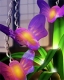 kurz mediácie -mimosúdne riešenie sporov