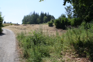 Na predaj stavebny pozemok  - Kraliky, Banska Bystrica