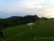 Ustajnenie koní-,,SILVER RANCH"-Banská Bystrica-PODLAVICE