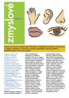 Podklady na medicínu, príjmačky, testové a modelové otázky