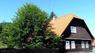 Dovolenka vo Vysokých Tatrách - ubytovanie, Drevenica pod lipou, Važec