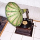 Starožitný gramofon na kliku s troubou, plně funkční, 100 let starý
