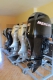 Lodný bazar, Lodný motor, Mercury, Yamaha, Honda, Tohatsu, Suzuki, Mariner,  Evi