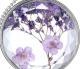 Prívesok s retiazkou - sklo, sušené kvety