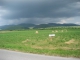predam zahradny pozemok v sabinove