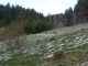 Krásne miesto pre stavbu chaty alebo rodinného domu - Staškov (okr. Čadca)