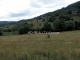 Príležitosť pre investorov - pozemok na výstavbu v obci Makov