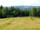 Pozemok na stavbu chaty - Olešná, k.ú. Burkov vrch