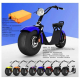 brand-new-harley-citycoco-2000w-electric-scooter-big-wheel-available