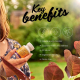 The food of the bee queen Royal Jelly