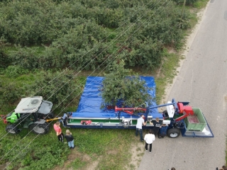 Jagoda G-004 zberač na ovocie s plachtou